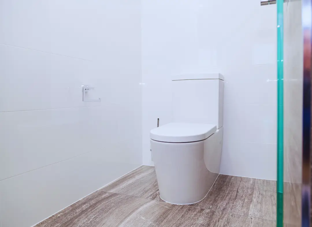 Remplacement de wc Vouvray